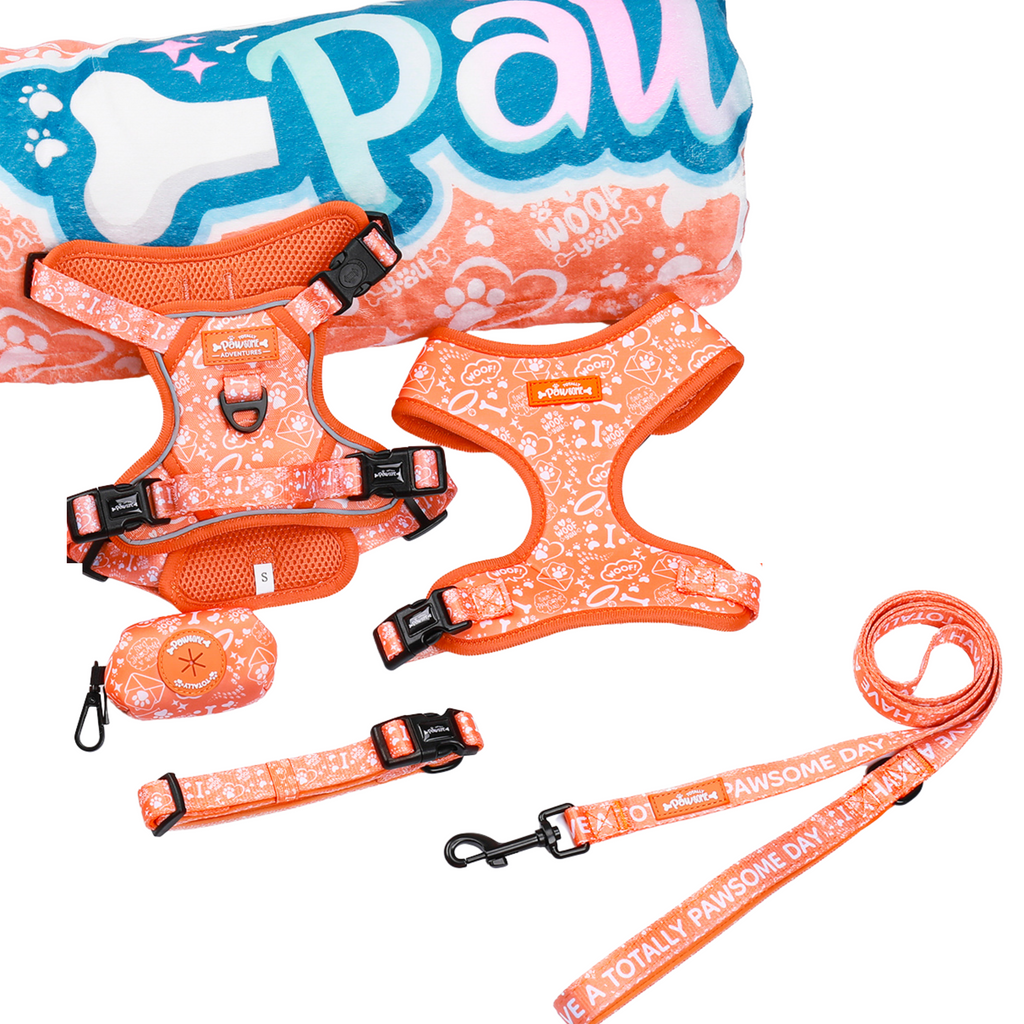 Dog harnesses and leashes with paw print design on a white background