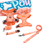 Dog harnesses and leashes with paw print design on a white background