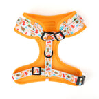 orange dog harness
