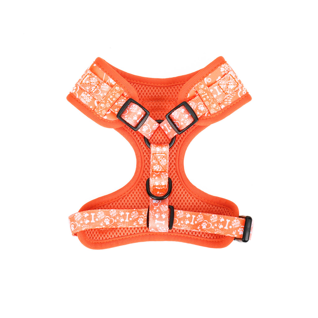 Orange dog harness with floral pattern on a white background
