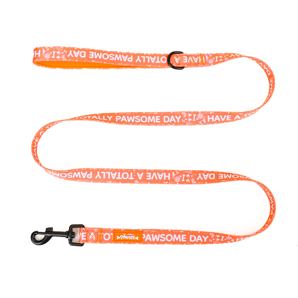 An orange dog lead with text pattern and a padded handle.