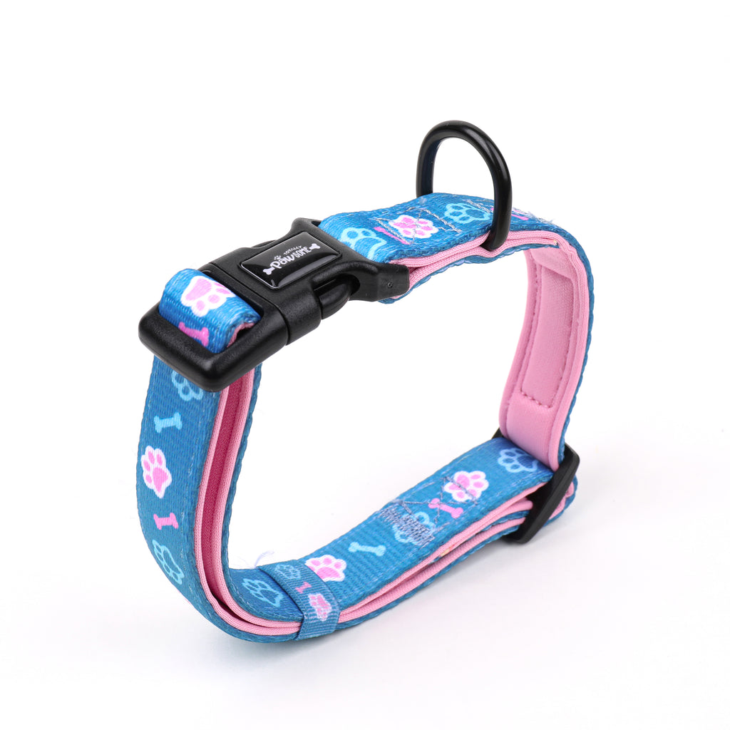 blue and pink  adjustable dog collar