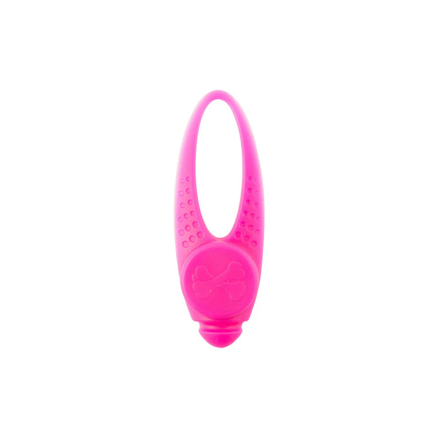 Flashing Dog Tags for walks