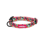 Colorful patterned dog collar with a brand logo on a white background