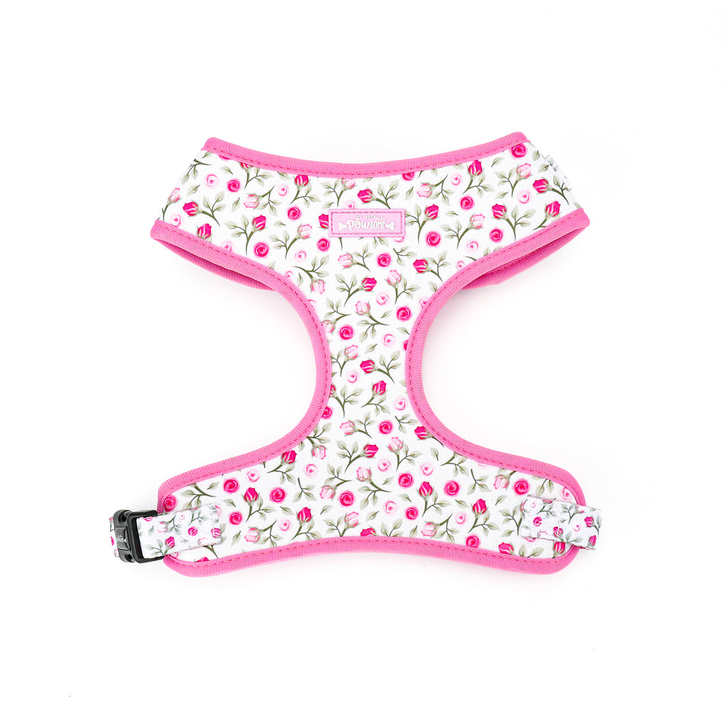 Floral patterned dog harness with pink trim on a white background