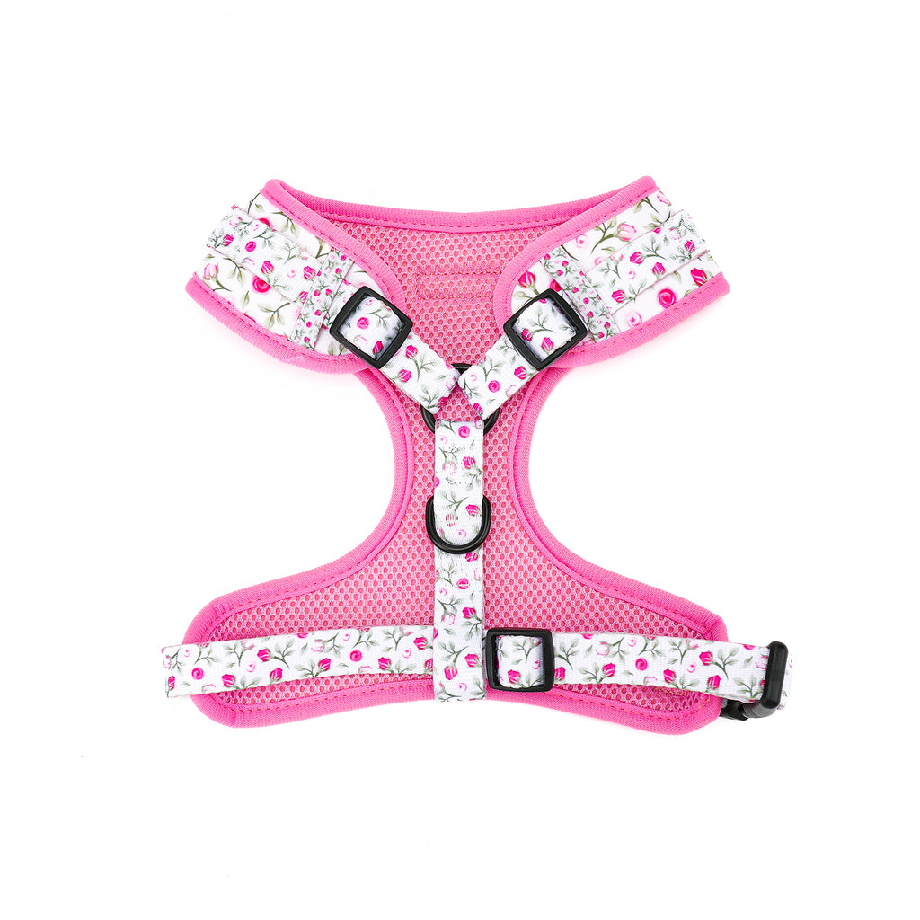 Pink dog harness with floral pattern on a white background