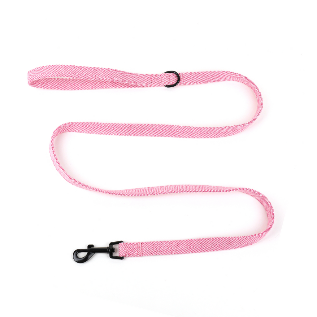 Pink dog leash with black clips on a white background