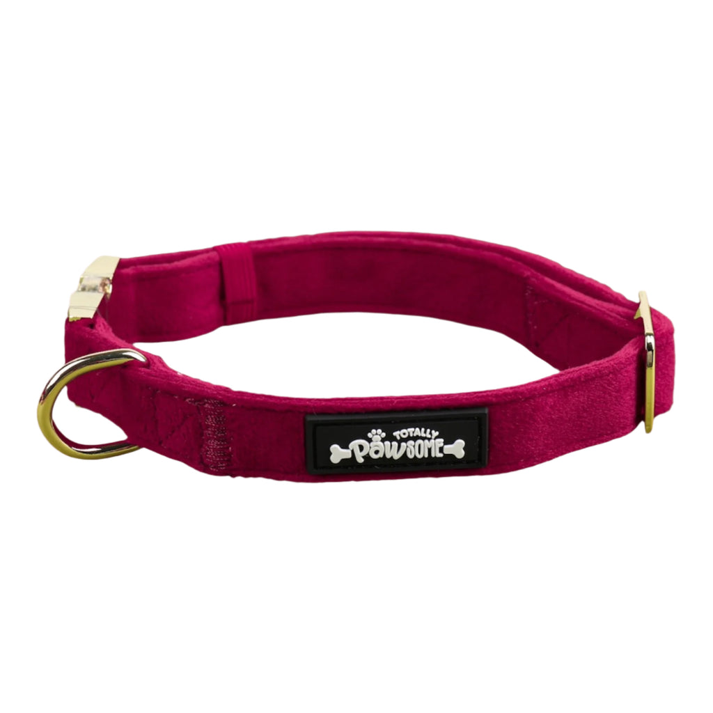 Red Velvet Collar - Totally Pawsome