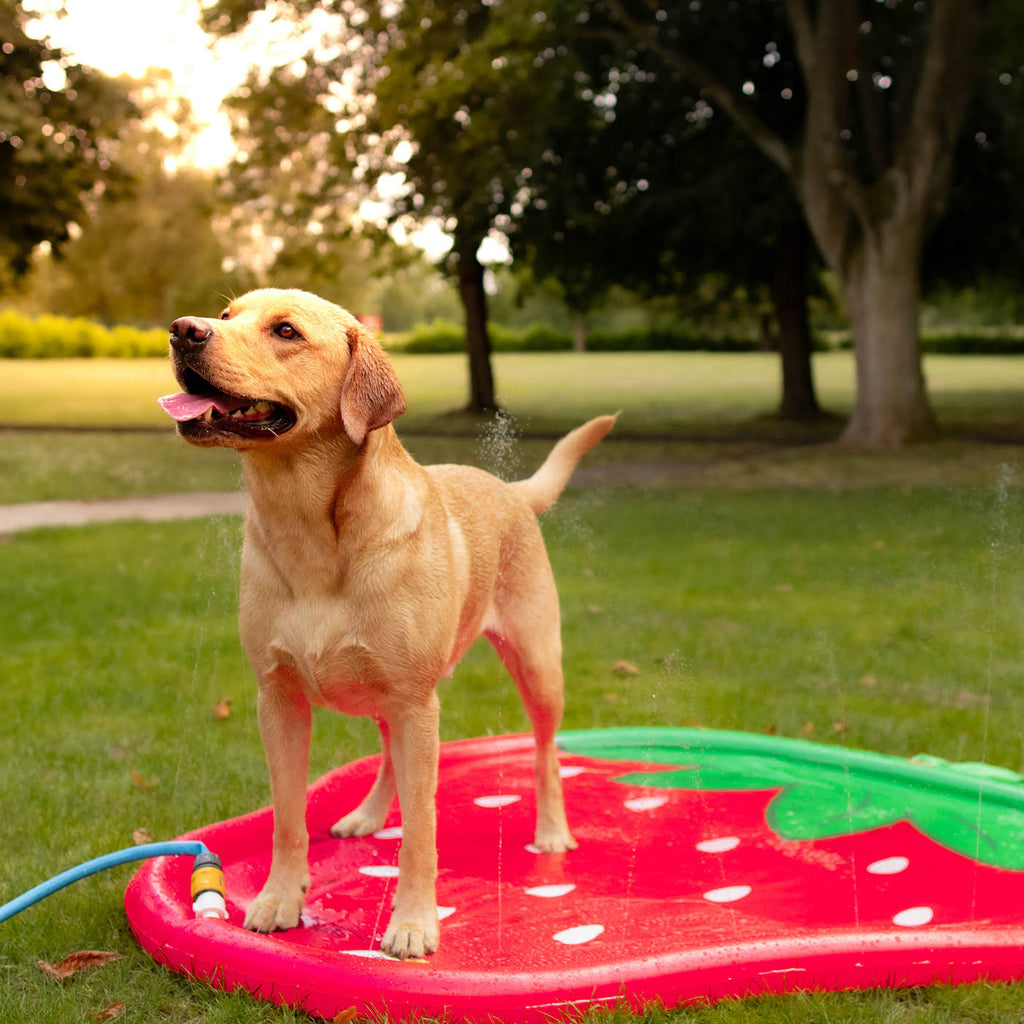 Rosewood Strawberry Splash mat