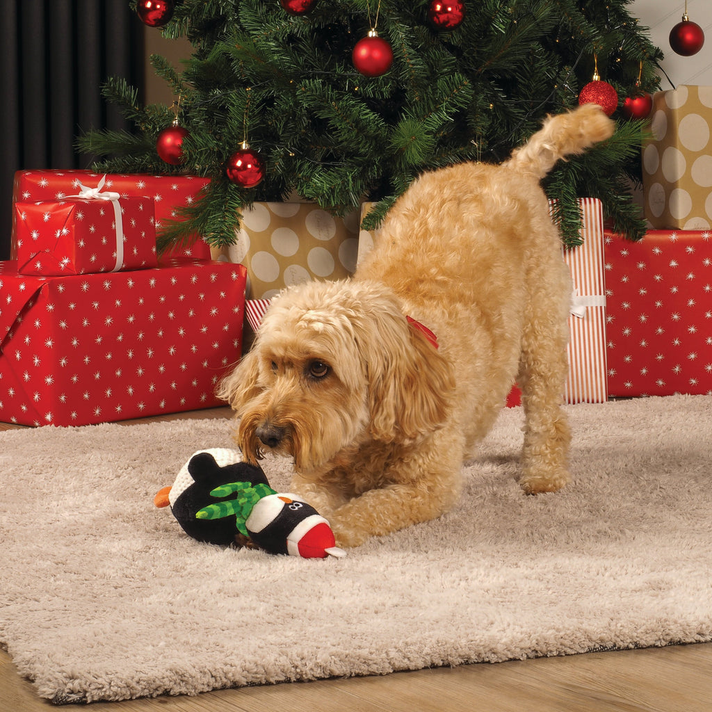 Super Bouncy Puppa - Totally Pawsome