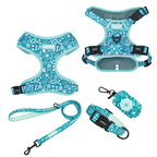 Set of dog harness, leash, and collar with blue floral pattern on a white background
