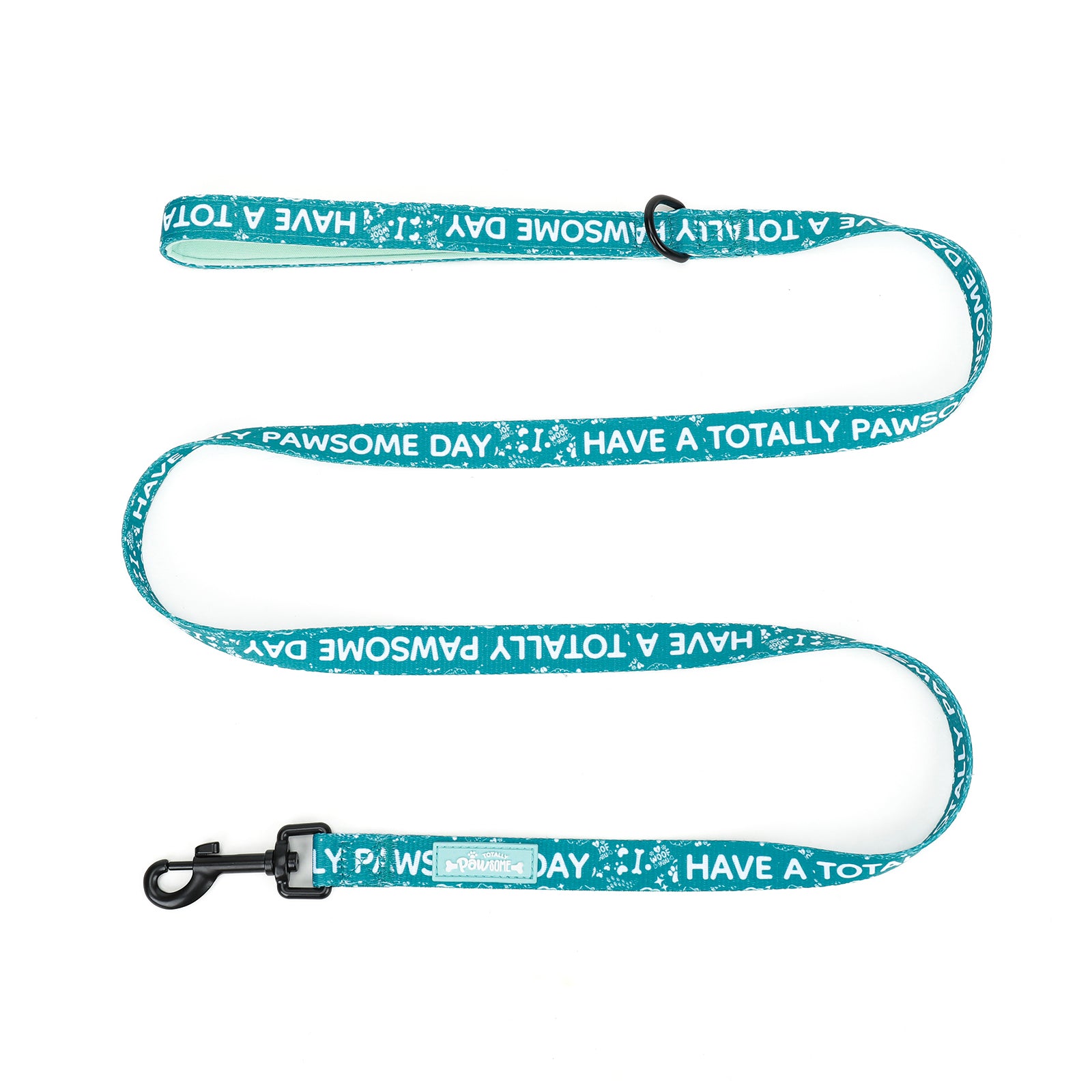 Teal dog leash with white text on a white background