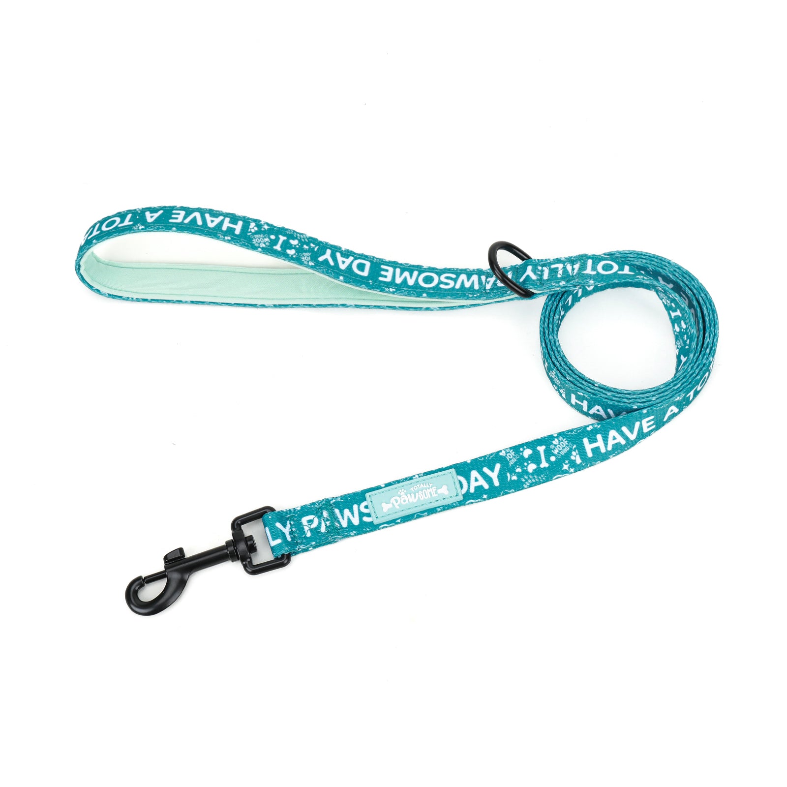 teal dog leash with white text on a white background