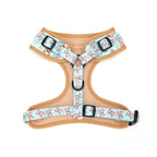 Dog harness with teddy bear pattern on a white background