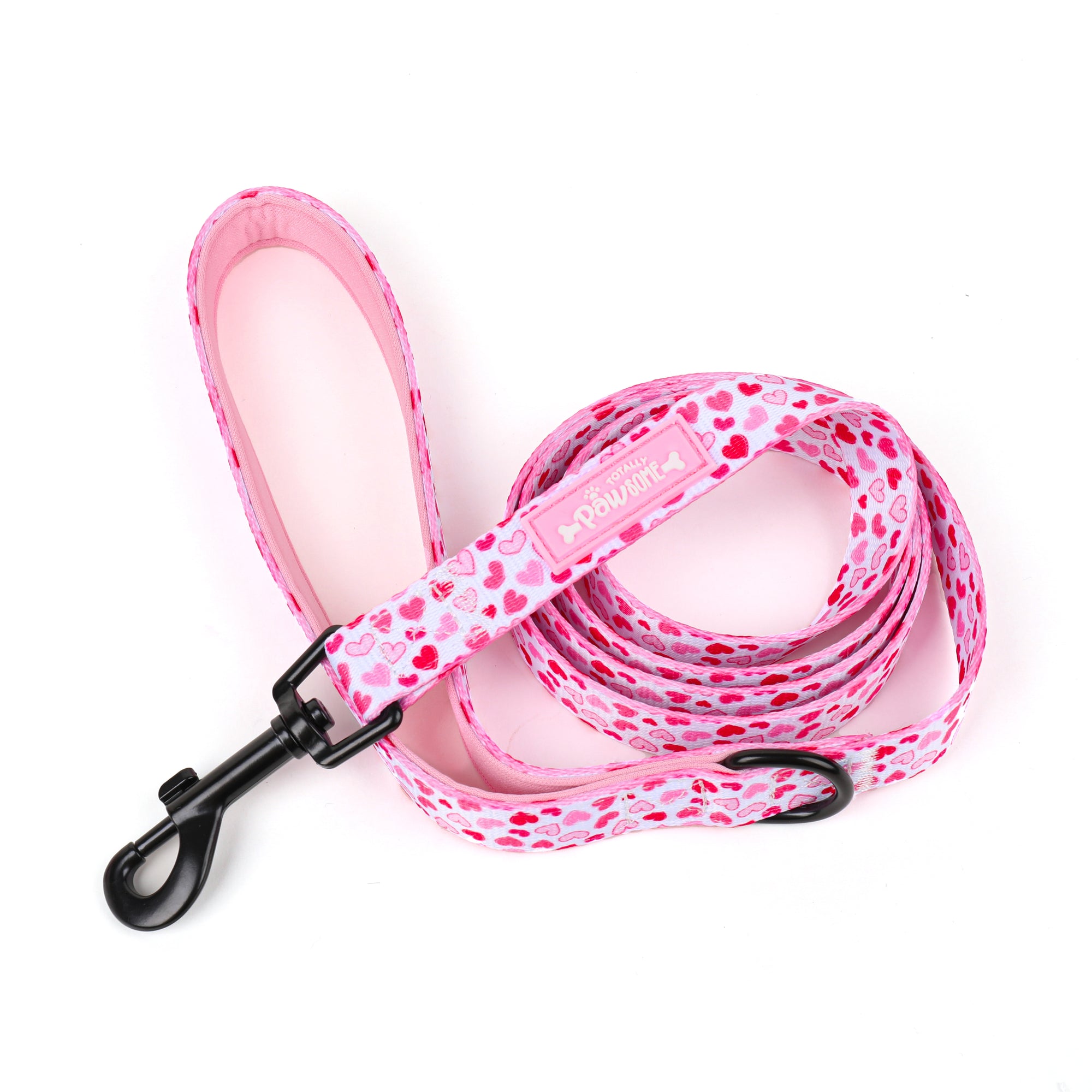 valentines dog long leash