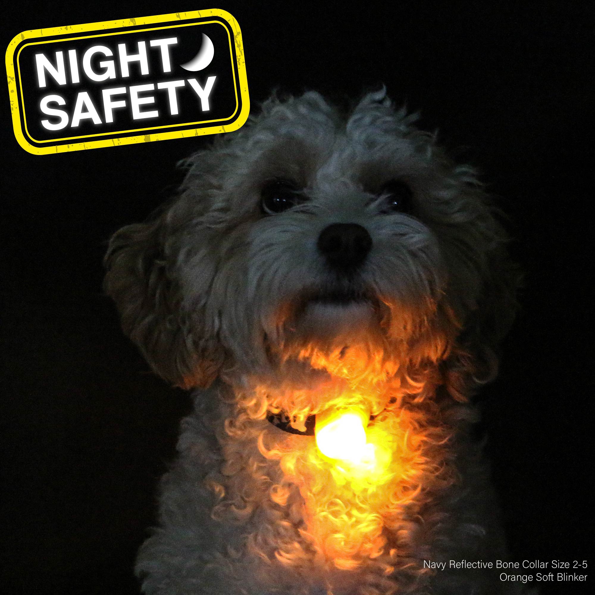 Flashing Dog Tags for walks