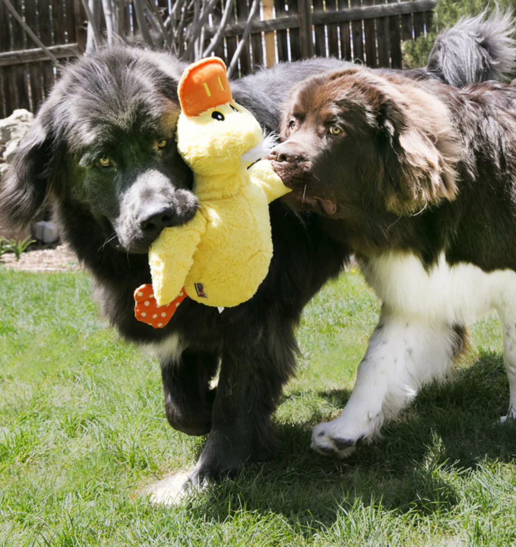 Kong Jumbo Comfort Duck Dog Toy